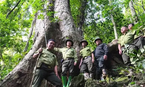 Tuyên Quang: Lâm Bình phát huy vai trò cộng đồng bảo vệ rừng