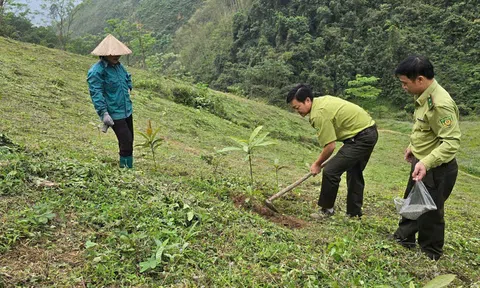 Tuyên Quang: Hạt Kiểm lâm Khu vực IV bảo vệ, phòng cháy chữa cháy rừng