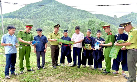 Tuyên Quang: Hạt Kiểm lâm Khu vực III bảo vệ và phát triển rừng