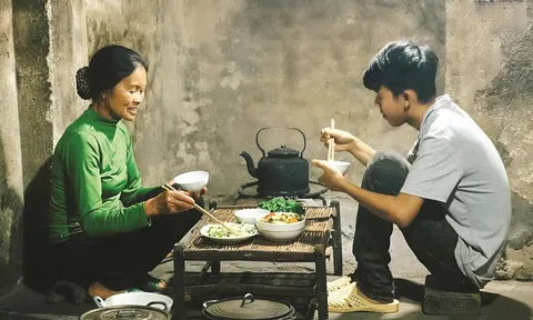 Chỉ có cơm mẹ nấu là miễn phí (tản văn)