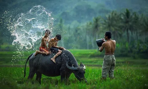 'Ký ức miền quê' (thơ)