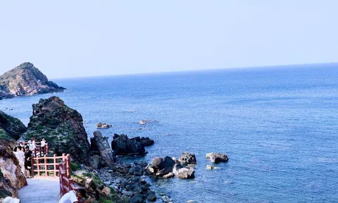 Gia Lai: Eo Gió Quy Nhơn Đông – nơi biển xanh kể chuyện cùng ghềnh đá hấp dẫn du khách