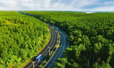 5.000 runners đếm ngược tới ngày “detox phổi” tại “mỏ oxy khổng lồ” của TP.HCM