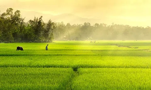 Chùm thơ “Nhân sinh tam vấn”