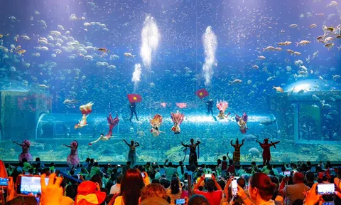 Phú Quốc United Center: Từ “tâm điểm không ngủ” đến “vũ trụ lễ hội” bùng nổ