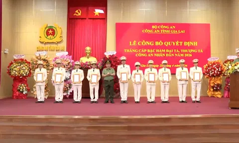 Gia Lai: 140 sĩ quan được thăng cấp bậc hàm Đại tá, Thượng tá năm 2026