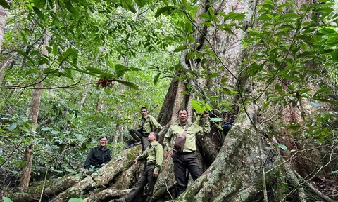 Tuyên Quang: Xã Côn Lôn phòng chống cháy rừng trong giai đoạn cao điểm nắng nóng