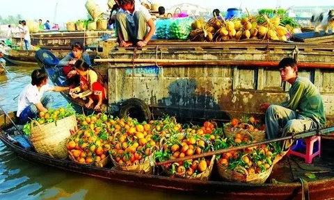 Hương sắc miền Tây (tản văn)