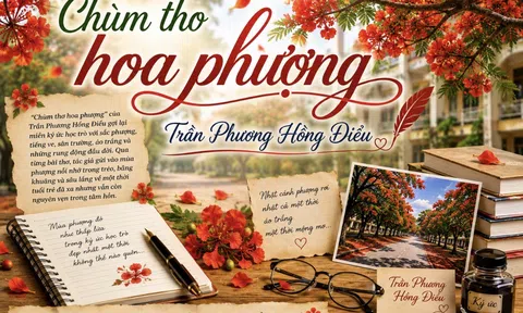 Chùm thơ hoa phượng