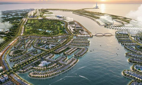 128.000 triệu phú đô la đổi nơi ở trong 1 năm: Mẫu số chung của cuộc đại dịch chuyển nằm ở nơi họ chuyển tới