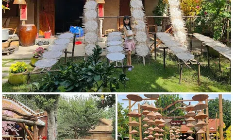 Vì sao Cantho Eco Resort trở thành điểm dừng chân được nhiều du khách tìm đến khi khám phá miền Tây?
