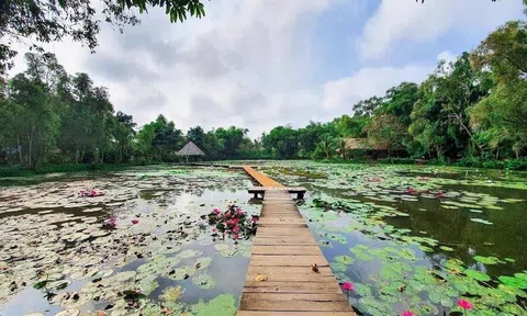 Đồng Tháp: Giữa rừng tràm Xẻo Quýt – Nơi thiên nhiên kỳ vĩ lưu giữ miền ký ức cách mạng