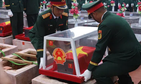Khai quật khu vực nghi hố tập thể liệt sĩ ở Quảng Ngãi