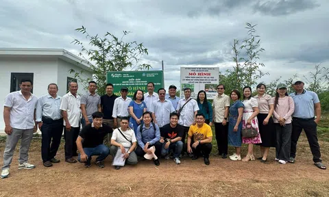 TP.HCM: Chi cục Phát triển nông thôn khảo sát mô hình nông nghiệp bền vững tại Quảng Trị