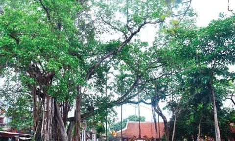 Gìn giữ ký ức làng quê: Hà Nội xếp hạng thêm 12 di tích lịch sử - văn hóa