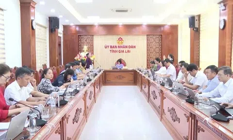 Gia Lai: Hoàn thiện đề án du lịch sinh thái gắn với bảo tồn tài nguyên thiên nhiên, phát triển bền vững.
