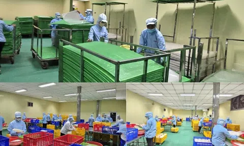 TP.HCM: Làng nghề bánh tráng Phú Hòa Đông kết hợp tinh hoa truyền thống với ứng dụng công nghệ hiện đại