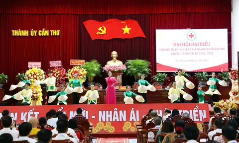 Cần Thơ: Hội chữ thập đỏ thành phố tiếp tục hoạt động nhân đạo vì cộng đồng
