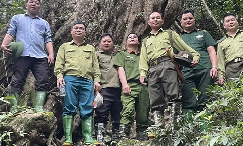 Tuyên Quang: Những bước chân tuần rừng giữ màu xanh đại ngàn Yên Hoa