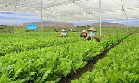 Phúc An Nông cung ứng hạt giống và vật tư nông nghiệp chất lượng, thân thiện với môi trường