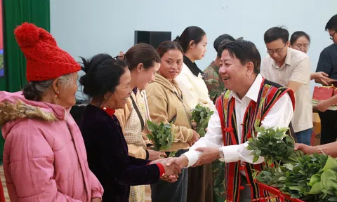 Quảng Ngãi: Trao tặng cây giống sâm Ngọc Linh thuần chủng cho các gia đình chính sách, người có công