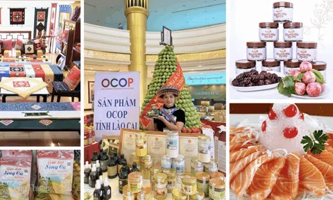 Lào Cai: Gần 60 sản phẩm OCOP được nâng hạng, khẳng định giá trị nông sản bản địa