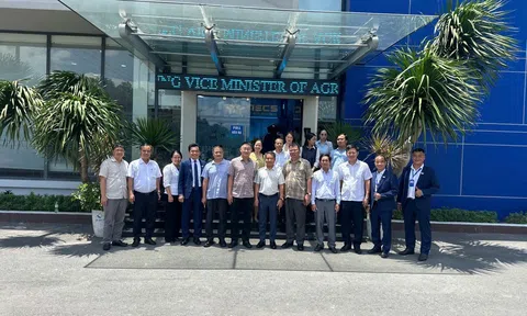 ĐBSCL: Thúc đẩy chuỗi cung ứng nông sản tại các tỉnh phía Nam