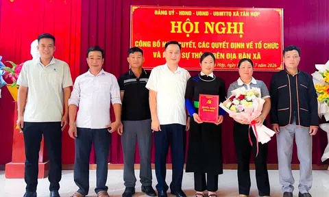 Lào Cai: Nâng cao chất lượng hoạt động của tổ chức đảng sau sắp xếp