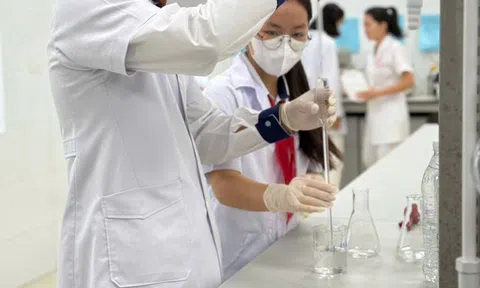 Tận dụng phế phẩm nhà bếp sản xuất dung dịch xua đuổi côn trùng