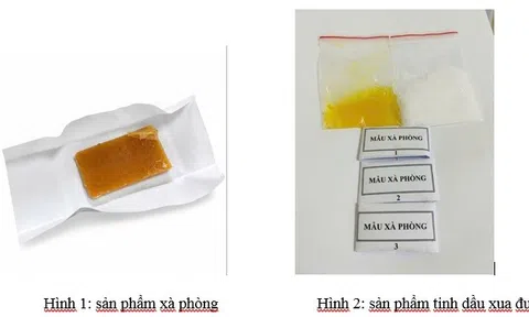 Tận dụng phế phẩm nhà bếp sản xuất dung dịch xua đuổi côn trùng