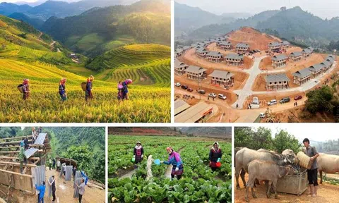 Lào Cai: Phấn đấu đến năm 2030 giảm nghèo đa chiều, bảo đảm an sinh xã hội, nâng cao đời sống Nhân dân