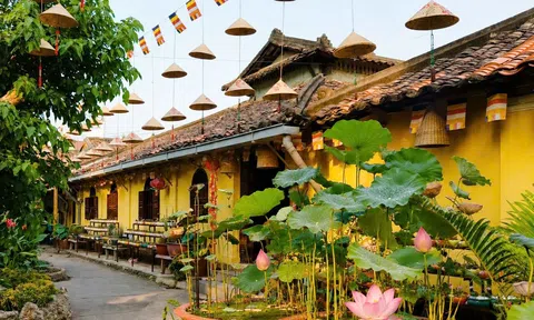 TP. Hồ Chí Minh: Buffet chay Chùa Phước Tường – Điểm hẹn quen thuộc của Phật tử và người dân