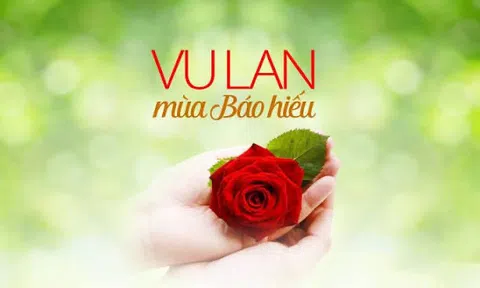 Bông hồng mùa Vu Lan
