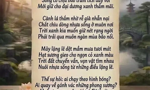 Quy luật của bình yên