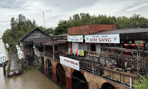 An Giang: Rừng tràm Trà Sư – miền xanh kỳ thú giữa vùng Bảy Núi