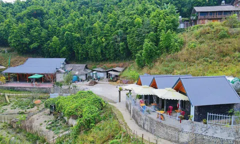 Lào Cai: Đầu tư cho sinh kế, hạ tầng và chất lượng sống ở nông thôn