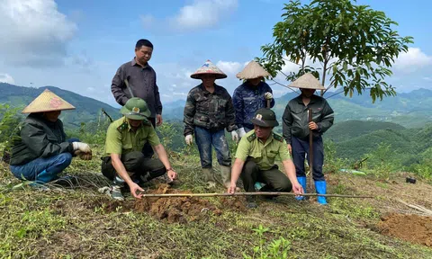 Tuyên Quang: Giữ rừng, bảo vệ màu xanh ở Bình Xa
