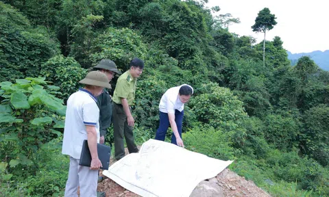 Tuyên Quang: Xã Bình An rà soát, điều chỉnh 3 loại rừng, gắn sinh kế với bảo vệ rừng