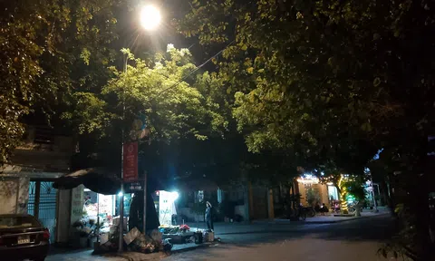 Thanh Hoá: Thôn Hoà Bình chung tay thắp sáng đường thôn