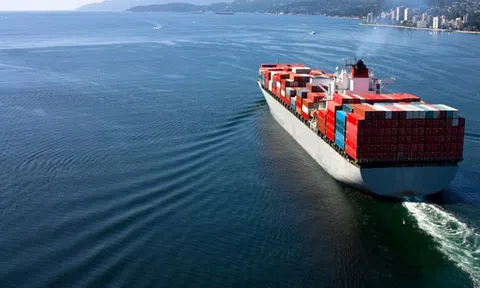 Tiêu chí chọn công ty luật khi gặp tranh chấp hàng hải, bảo hiểm