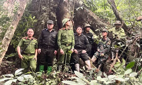 Tuyên Quang: Quản lý, bảo vệ rừng đặc dụng Nà Hang gắn với sinh kế người dân sống gần rừng