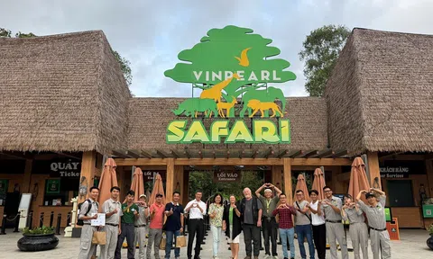 Từ hơn 4.000 cá thể đến mạng lưới bảo tồn quốc tế: Vinpearl Safari đã đi xa đến đâu sau hơn một thập niên ?