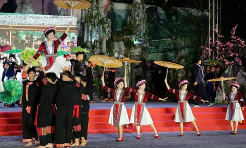 Tuyên Quang: Lễ hội Hoa Tam giác mạch 2026 sẽ khai mạc tối 25/10 tại Đồng Văn