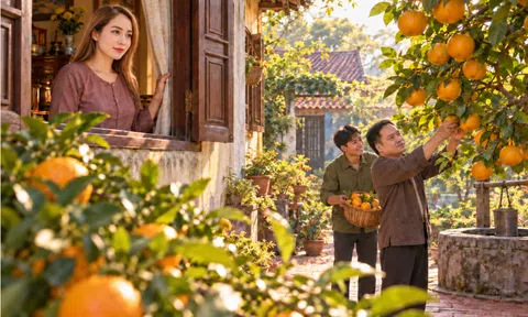 Vườn cam trĩu quả (truyện ngắn)