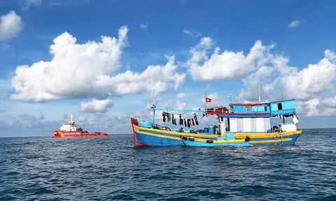 Quảng Ngãi tăng kiểm soát tàu cá, minh bạch nguồn gốc thủy sản