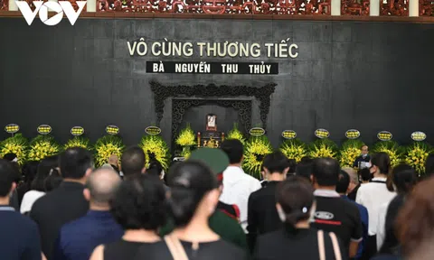 "Hoa hậu Nguyễn Thu Thuỷ như ngọn đuốc dám cháy hết mình"