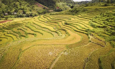 Hòa Bình: Phát huy lợi thế ruộng bậc thang, tạo sức hút du khách
