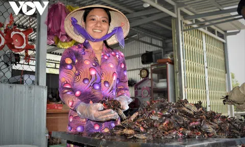 Muối ba khía – nghề di sản của người dân Cà Mau