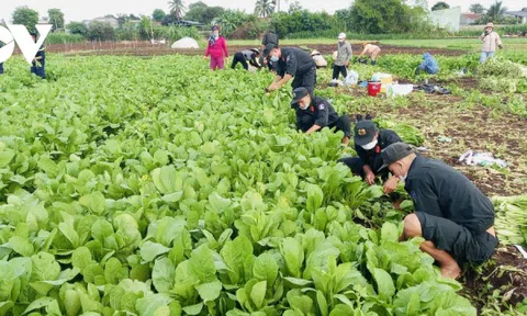 Đắk Lắk: Chuyến xe rau nghĩa tình gửi vào tâm dịch
