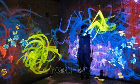 Độc đáo triển lãm trình diễn ánh sáng về chủ đề núi rừng tại Nhật Bản